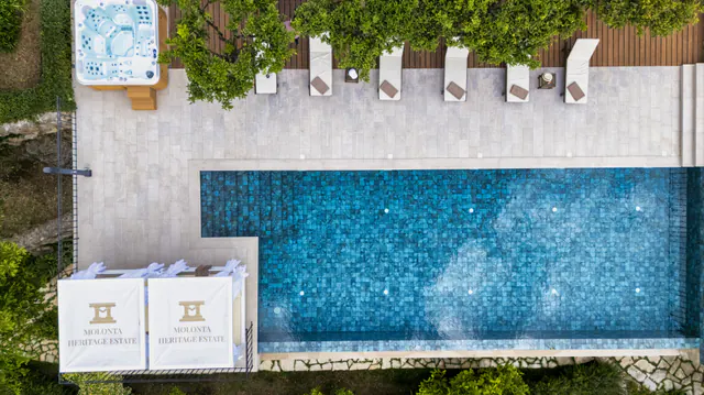Aerial view of the infinity pool and its line of white sun loungers.
